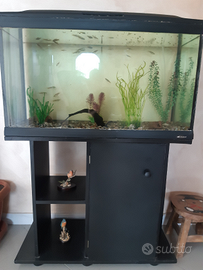 Acquario 120 litri