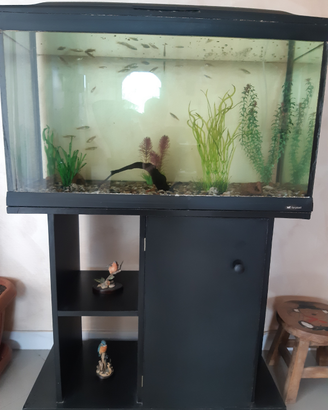 Acquario 120 litri