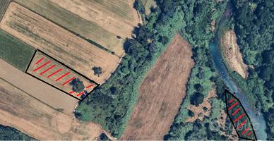 TERRENO AGRICOLO - SERRE (SA) Località Ferraggine