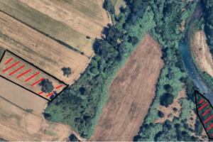 TERRENO AGRICOLO - SERRE (SA) Località Ferraggine