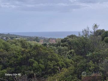 Terreno agricolo Località Is Meris