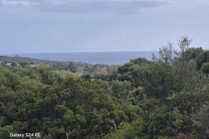 Terreno agricolo Località Is Meris