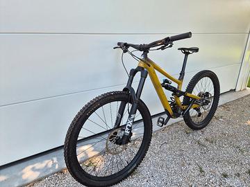 specialized status 170