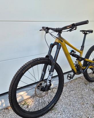 specialized status 170