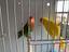 Immagine 3