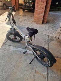bici elettrica 