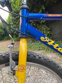 Mtb Mountain bike Atala buone vondizioni