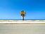 Immagine 19