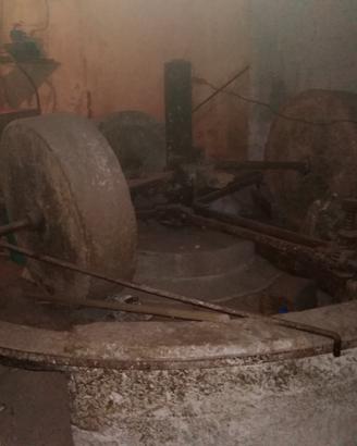 Frantoio oleario in pietra