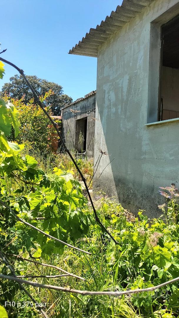 Terreno rustico con casa da ristrutturare - Vista 2