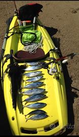 kayak
