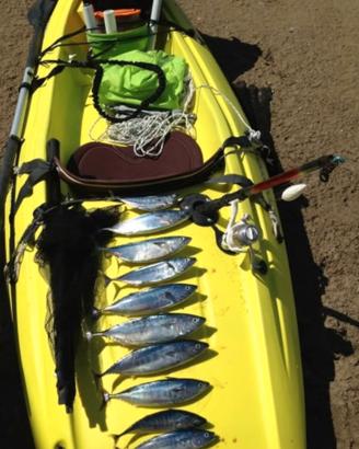 kayak