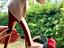 Immagine 4