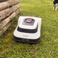 Robot giardino tagliaerba