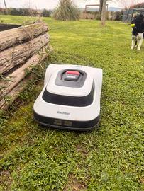 Robot giardino tagliaerba