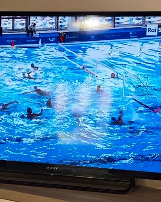 TV SONY Bravia 40 pollici