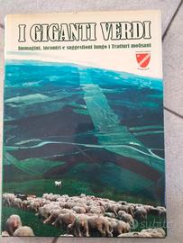 Libro tratturo Molise i giganti verdi raro