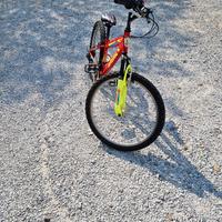  bici 24 pollici