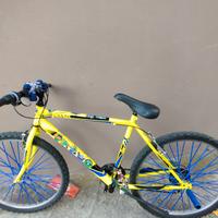 bici Mirage nuova modifica 