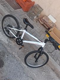 Bici 20