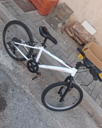 Bici 20