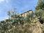 Immagine 24