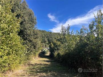 Immobile in asta di 684931 m² con 1 locale a Franc