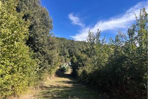 Immobile in asta di 684931 m² con 1 locale a Franc