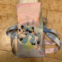 Disenyland Paris Popcorn basket Music Festival