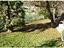 Immagine 12
