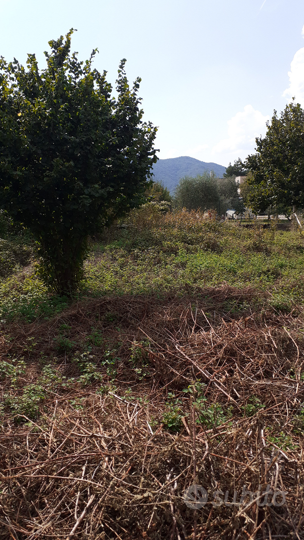 Terreno agricolo - Vista 4