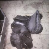 Sella da dressage