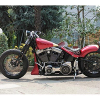 Harley davidson special springer