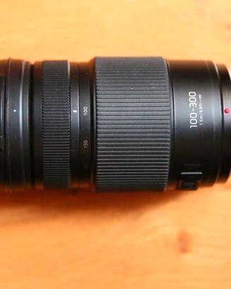 Panasonic 100-300 f/4-5.6 IIper micro 4/3
