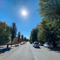 Monteverde - attivita' di bar