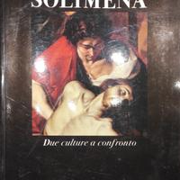 RIVISTA ARTE FRANCO M. RICCI su A. e F. SOLIMERA