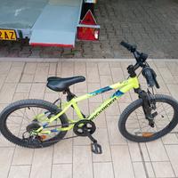 Mountain Bike  20 + 24 pollici