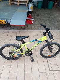 Mountain Bike  20 + 24 pollici