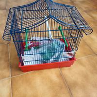 gabbia uccellini/cocorite 