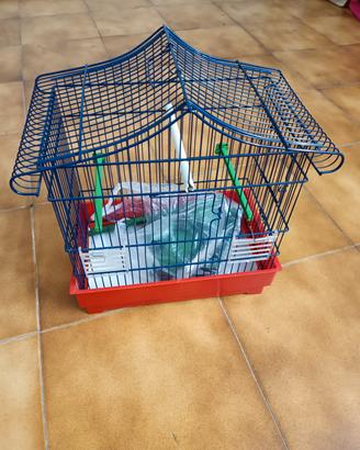 gabbia uccellini/cocorite 