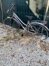 Bici da donna da carteggiare la ruggine