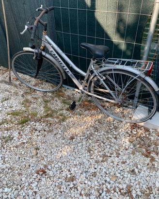 Bici da donna da carteggiare la ruggine