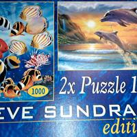 Puzzle Steve Sundram