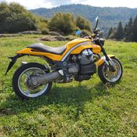 Moto guzzi griso 1100 del 2006