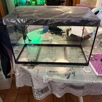 Acquario tetra 60 litri