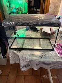 Acquario tetra 60 litri