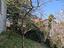 Immagine 7