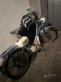 Benelli 50 cc