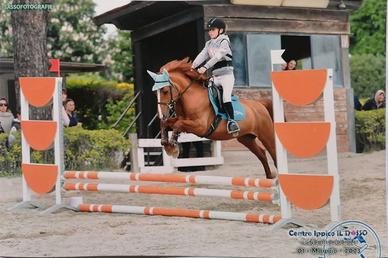 Doppio pony femmina, 10 anni