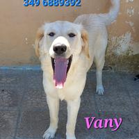 Cucciola e mamma